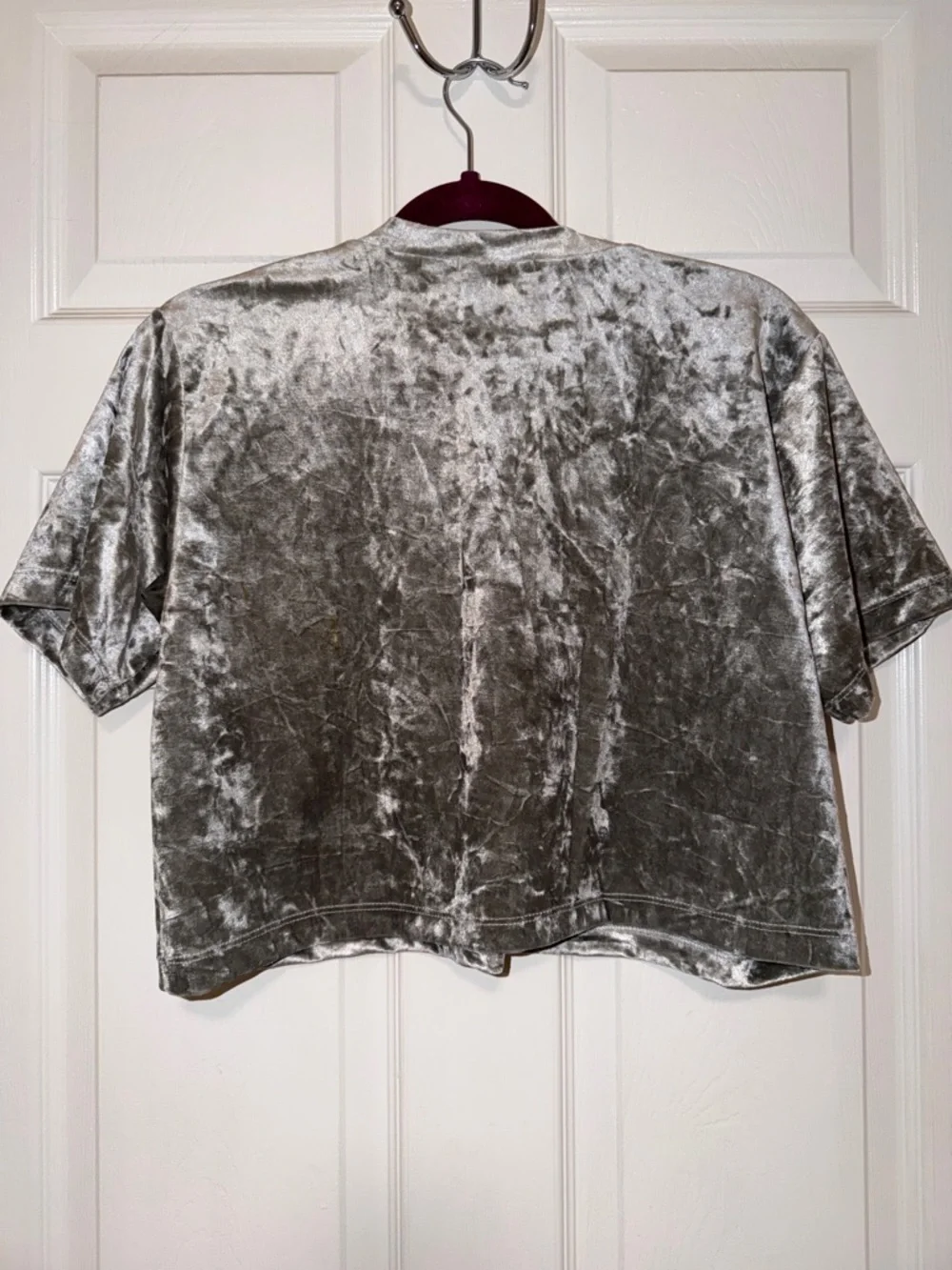 Don’t Ask Why Velvet Short-Sleeve Boxy Crop Top - Silver OS - Picture 3 of 5